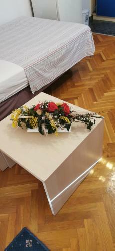 Apartmani Matijevi?