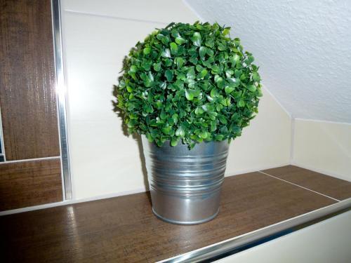 Apartamento Ferienwohnung Besslich Wattweg 5
