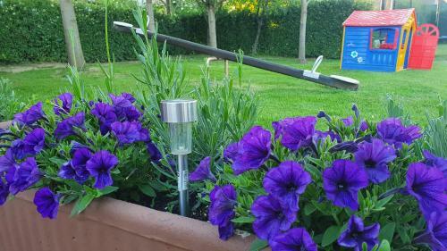 Apartamento Villa Mons Aureus