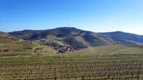 Apartamento Weingut & Strau�wirtschaft Vogel