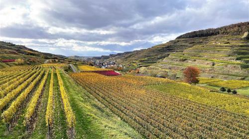 Apartamento Weingut & Strau�wirtschaft Vogel