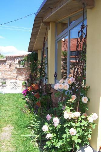 Hostal Landhotel Zum Adler