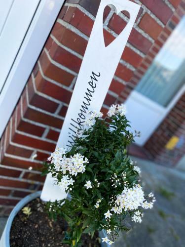 Hostal Strandnest Norddeich