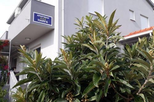 Apartman Harfa 2