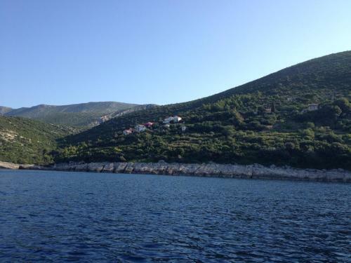 Apartman Antunovic
