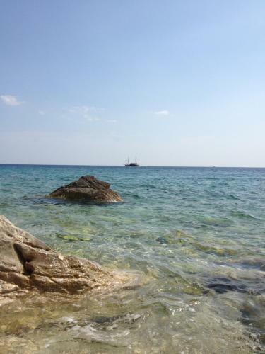 Apartman Antunovic