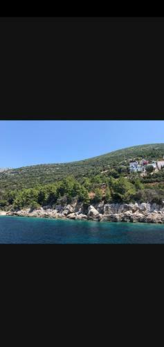 Apartman Antunovic