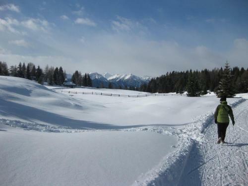 Aparthotel Pension Gr�nbacher