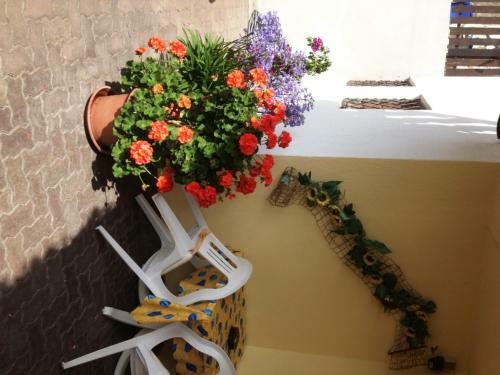 Hotel Pension Harrasser