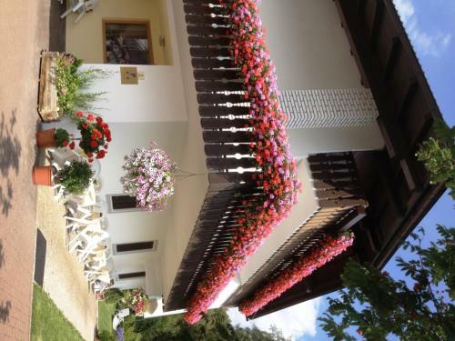 Hotel Pension Harrasser