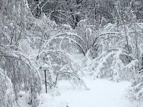 Agroturismo Sangrato 1883