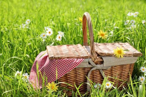 Bed & Breakfast Manoir De Beaumarchais