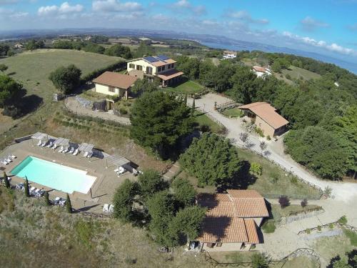 Vignente