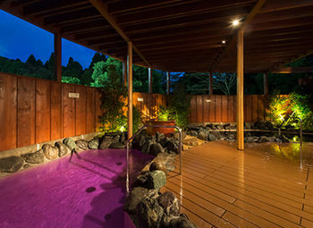 Narita View Hotel