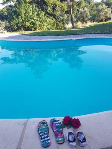 Agroturismo Agriturismo Cipollone