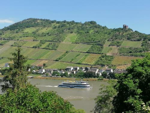 Apartamento Rainer�s Rheinblick