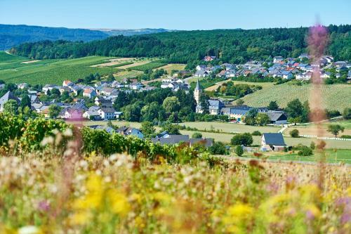 Apartamento Ferienweingut Willems