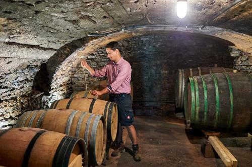Apartamento Ferienweingut Willems