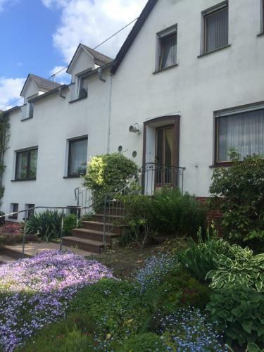 Apartamento Ferienweingut Willems