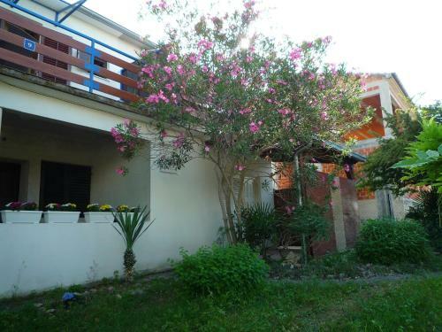Apartamento Oleander