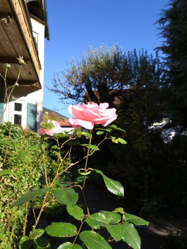 Apartamento Landhaus Haser