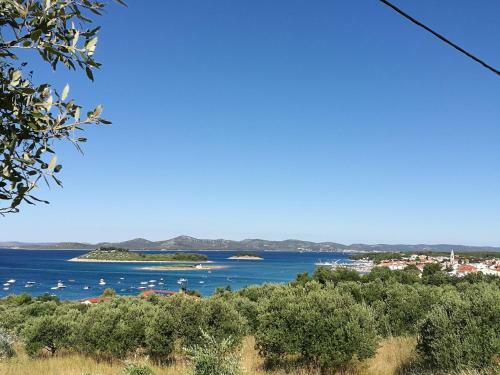 Apartamento Small Guest House Punta Pako?tane