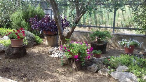 Apartamento Jadran