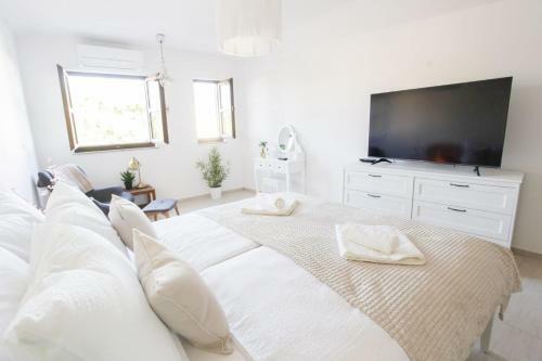 Apartamento Ku?a U Centru