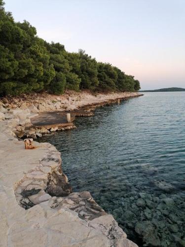 Apartments By The Sea Drage, Biograd - 19189