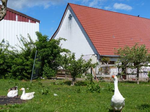 Apartamento Die Gef�hrten