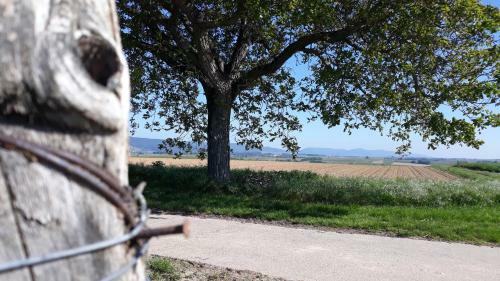 Apartamento Die Gef�hrten