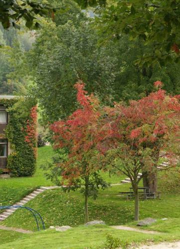 Posada Blumenwiese Appartement