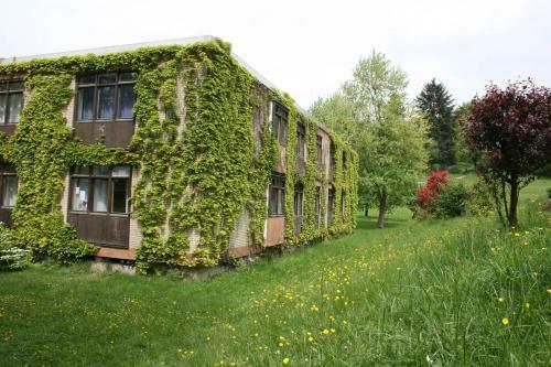 Apartamento Wildbach Appartement