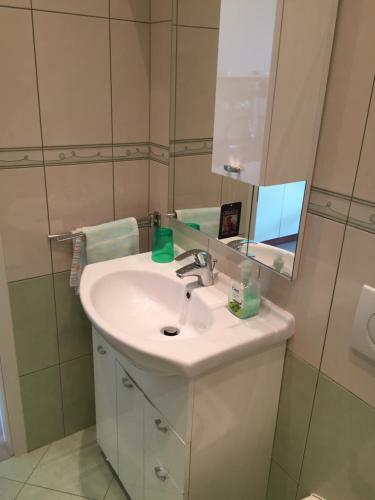 Studio Apartment Antonija