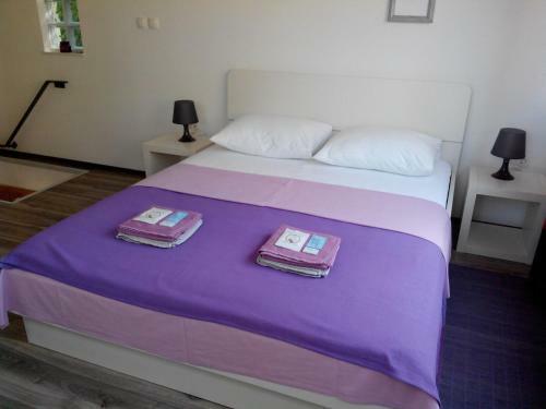 Apartments Zigulic