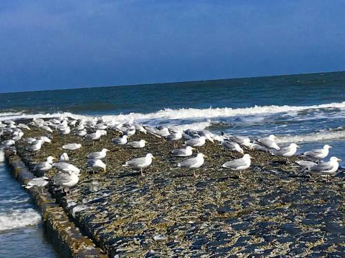 Apartamento Haus Seelord Am Weststrand