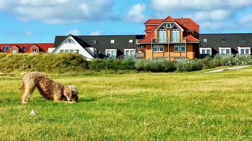Apartamento Meerblickwohnung An Der Hundewiese