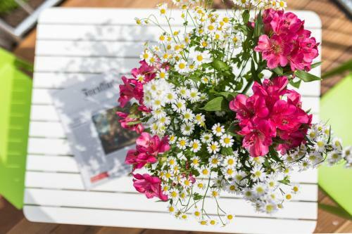 Apartamento Strandloft Zwei Norderney