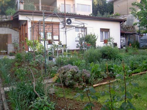 Apartman Thea