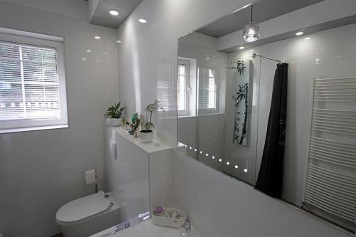 Apartment Cerovi?