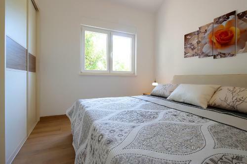 Apartamentos Magnolia