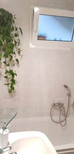 Apartamento Tanja