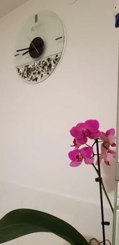 Apartamento Tanja