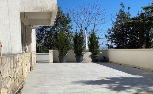 Apartamentos Gaja