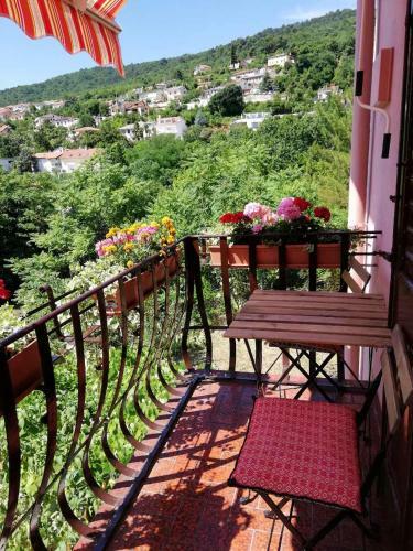 Apartman Lu?eti?