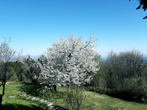 Kuca Draga - Property Nono