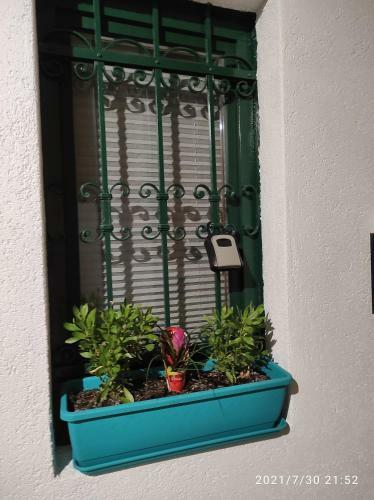 Hostal Room Anthea 2