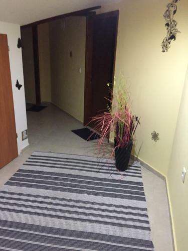 Apartmani Matija