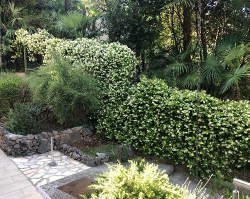 Apartment Almare