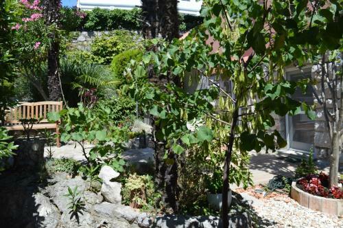 Beba's Garden Apartment